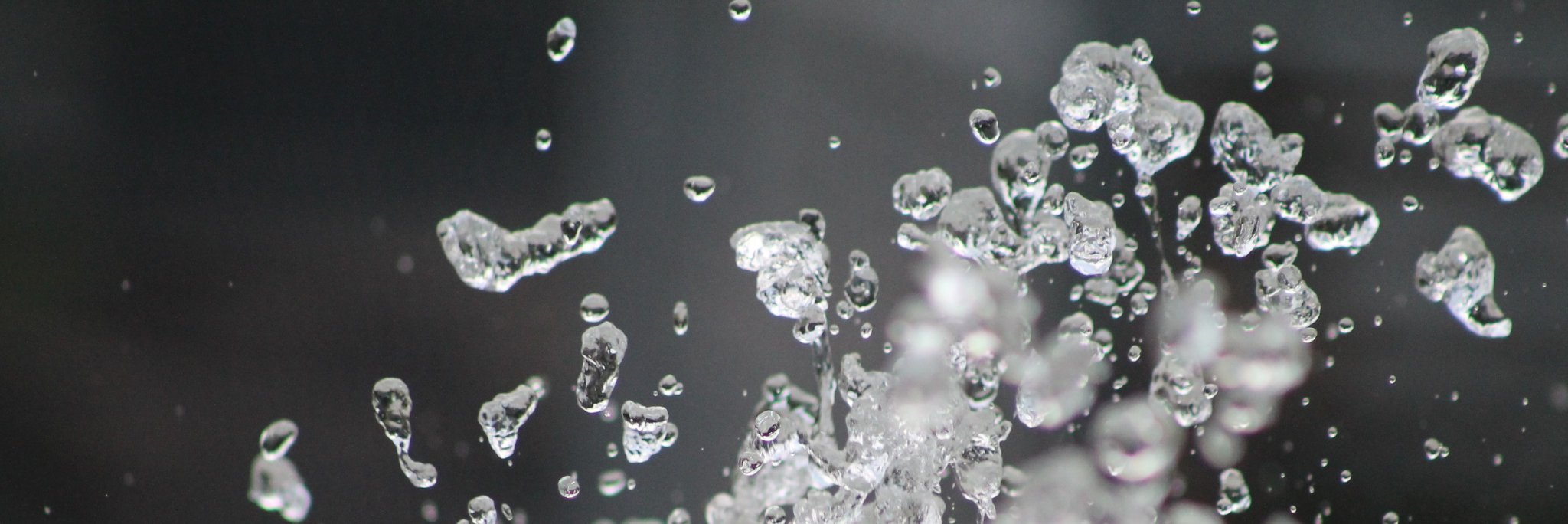 UF/IFAS Extension Central Florida Water Resources banner