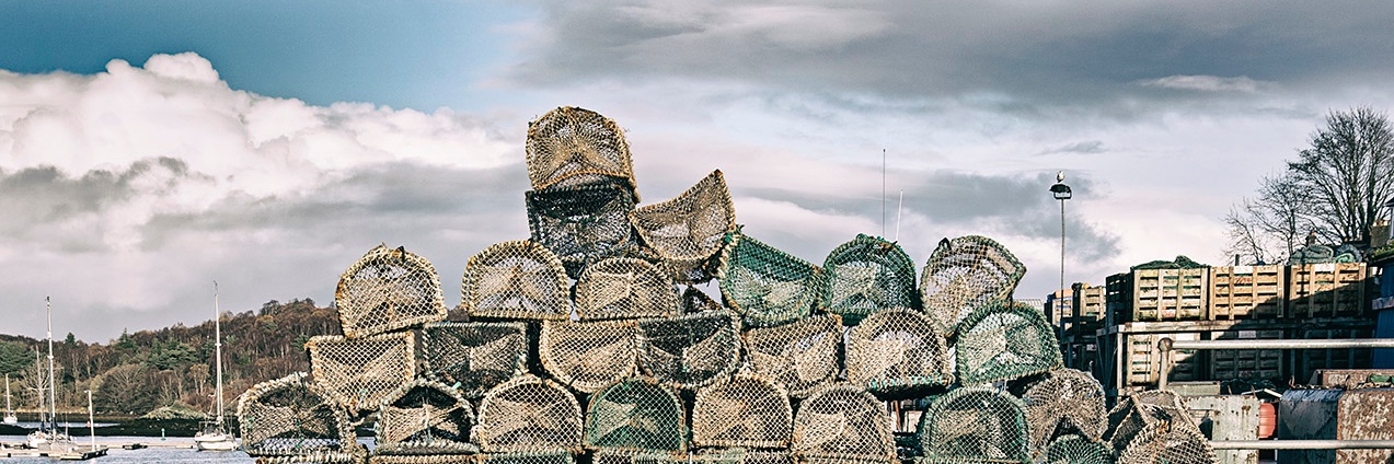 Clyde Fishermen's Trust banner