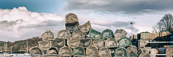 cft_scot Profile Banner