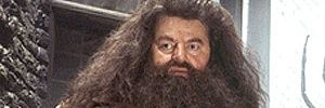 bronzegorilla's profile banner image
