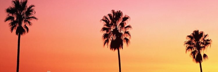 Gabe Garica banner