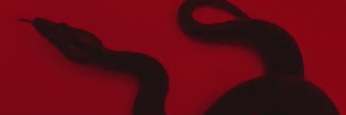 mcampxss's profile banner image