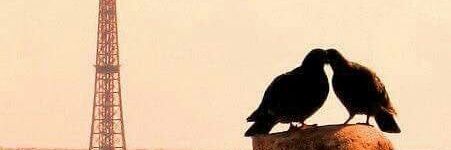 Yarro.    🇫🇷 banner