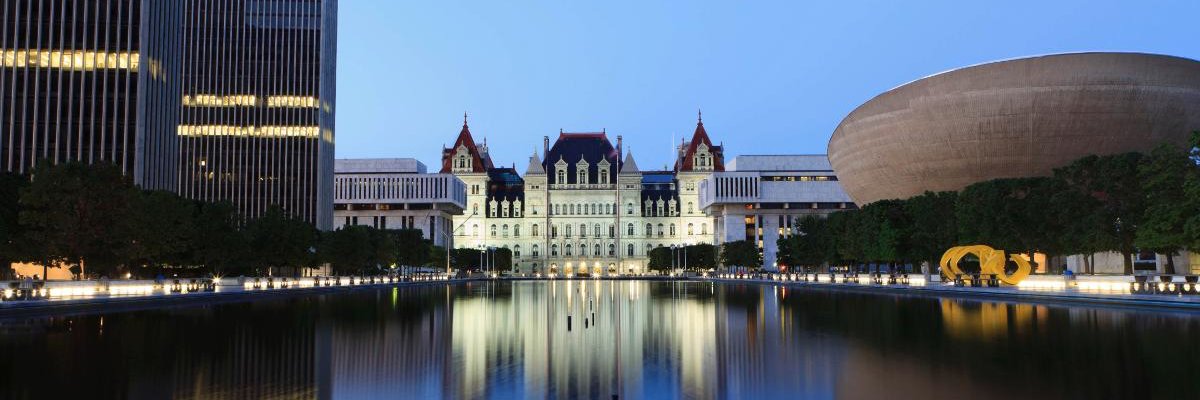 Activities in Albany banner