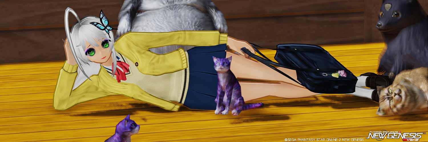 きいの　ship7 banner