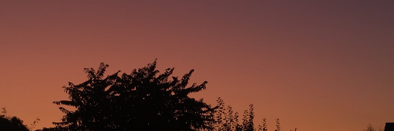 boredve's profile banner image