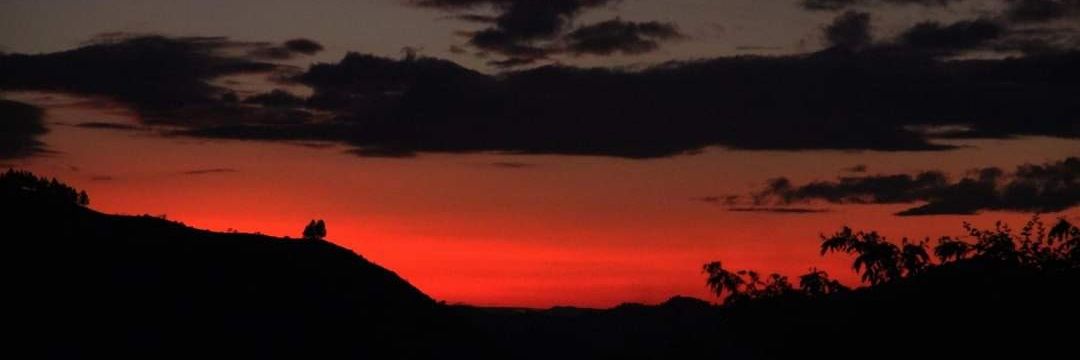 armedina323's profile banner image