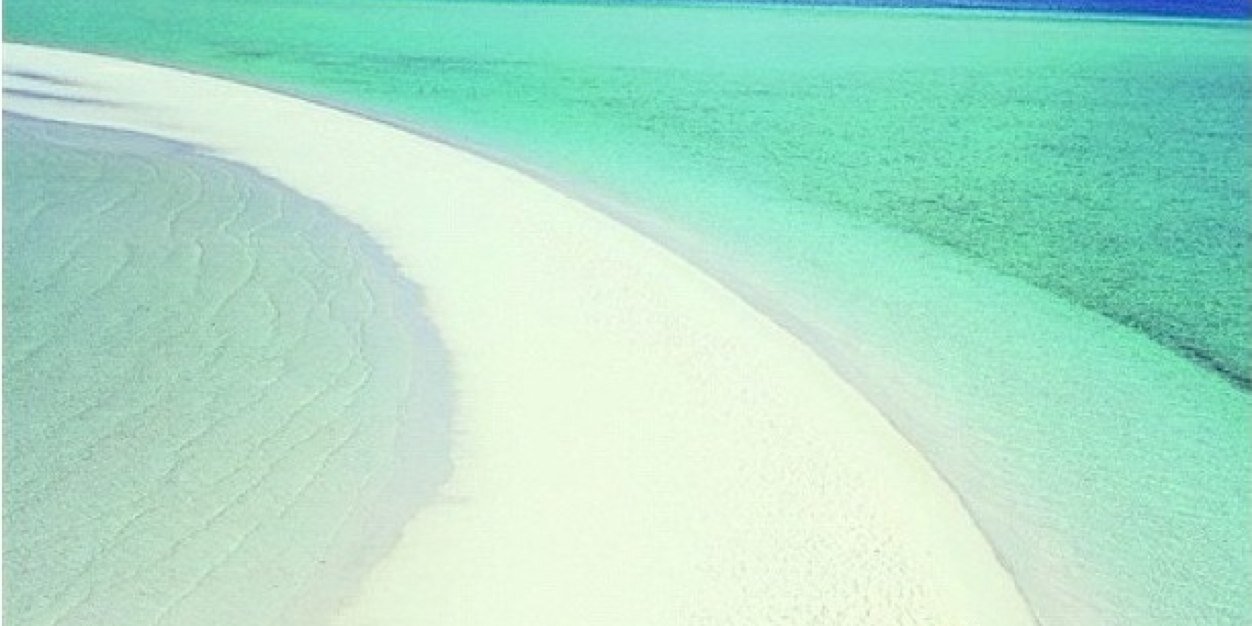 inahassenberg's profile banner image