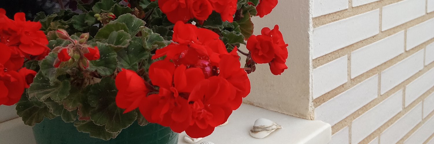 Patricia Galiana banner