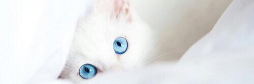 Marj0ojhG's profile banner image