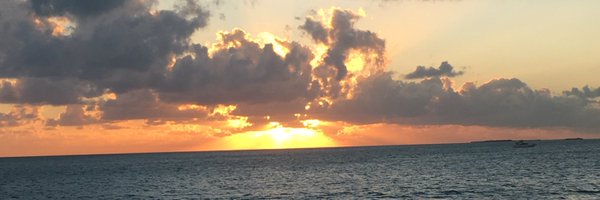 JustTheBeans Profile Banner