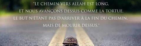 aboualiyah63's profile banner image