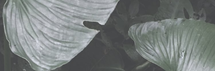 pranandaj's profile banner image