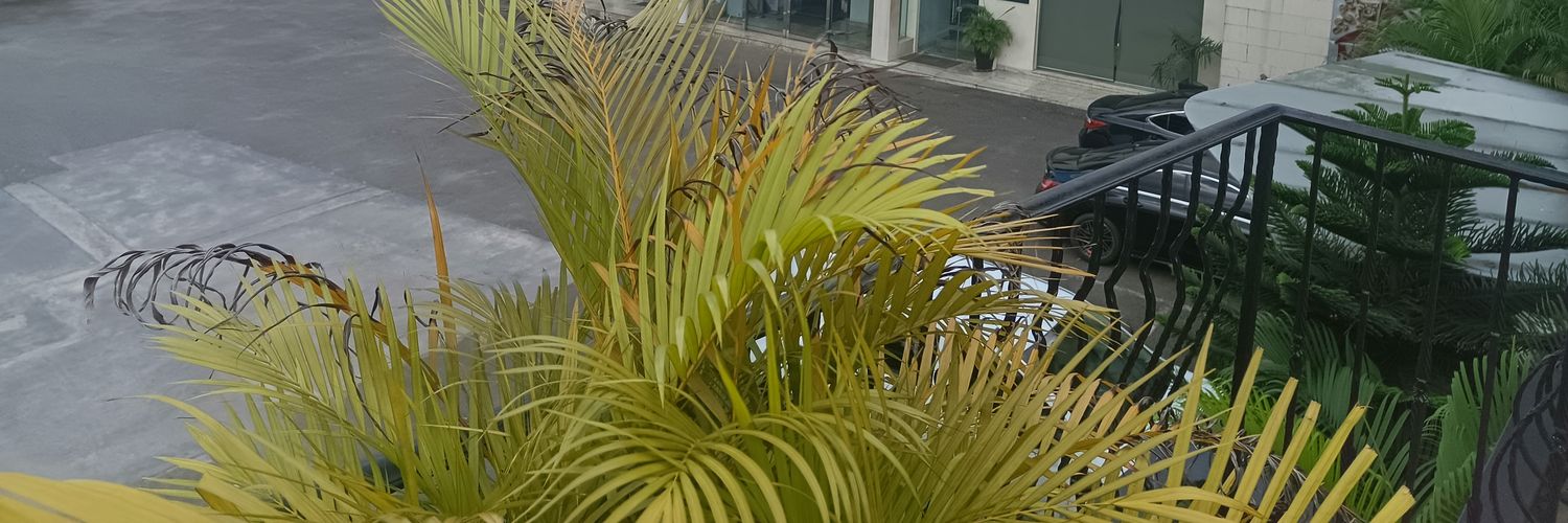 NduOVictor's profile banner image