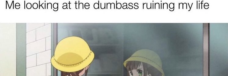 v banner