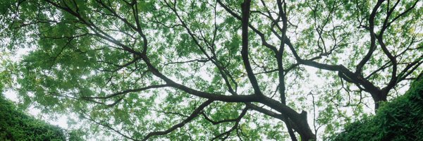 Max_Fewtrell Profile Banner