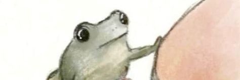 rochifede banner