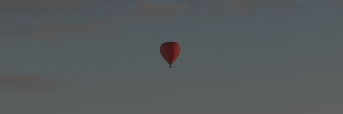 QueenAntQ's profile banner image