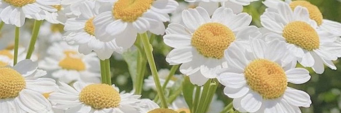 Happymayyy.rv banner