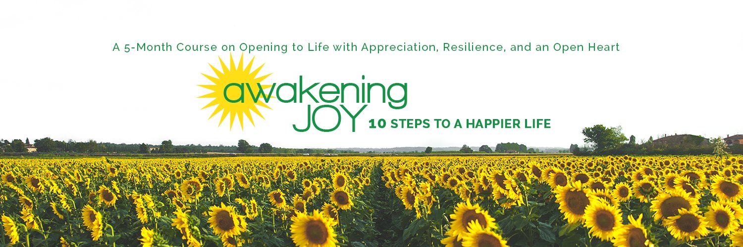 Awakening Joy banner