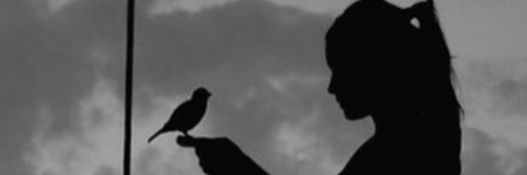 عنود العصيمي banner