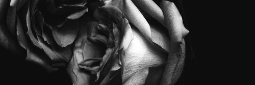 karinaloayza_'s profile banner image