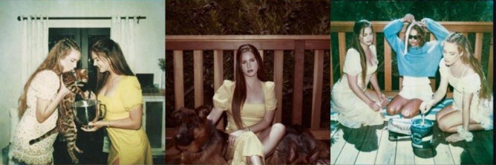 Pekeedis ♡◞ banner