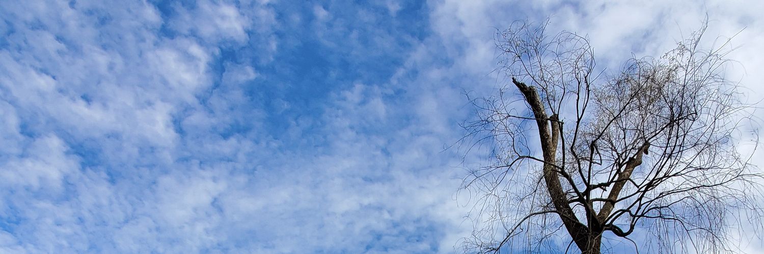 Humble chicken banner
