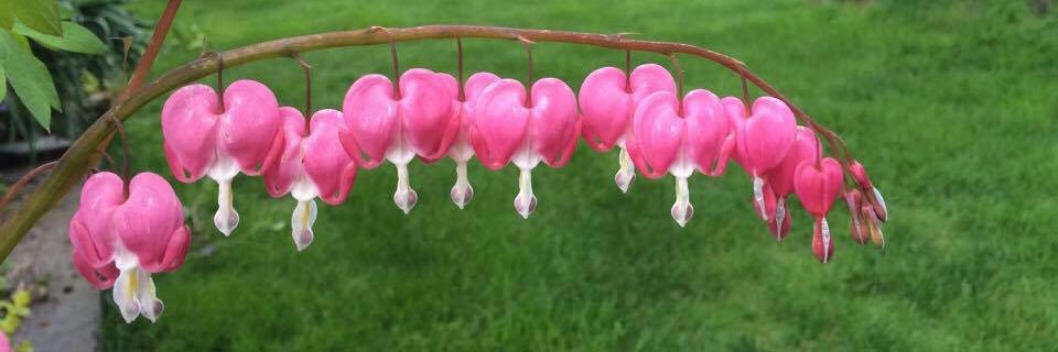 AnaWieman's profile banner image