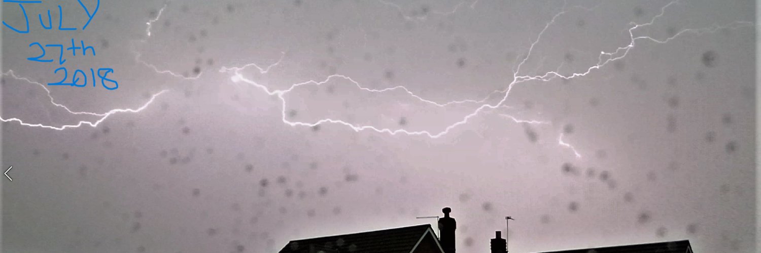 Richard Traut banner