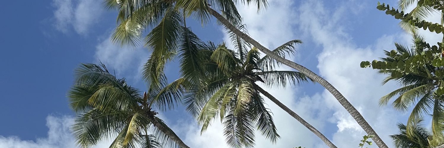 danielcepedag's profile banner image