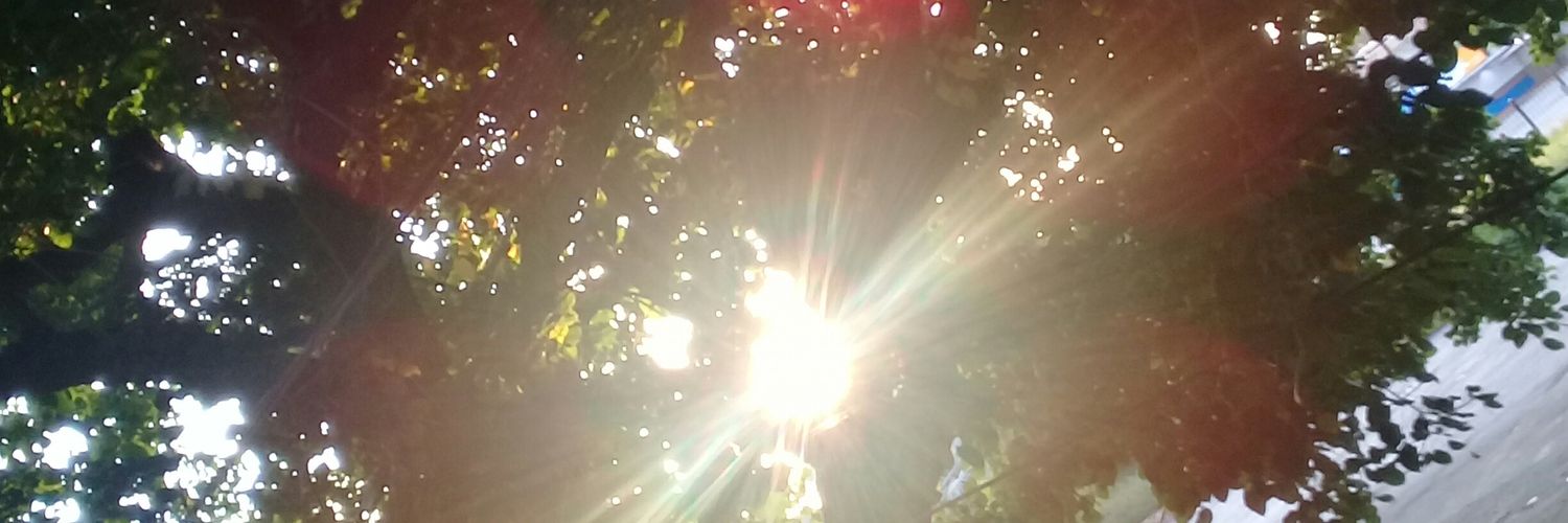 Anibaldjcv's profile banner image