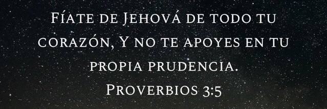Armando banner