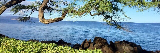 WendySarich's profile banner image