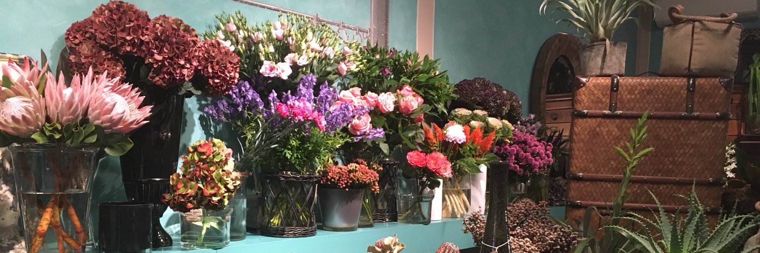 Carolyn Shapiro @cshaplaw at the other places too banner