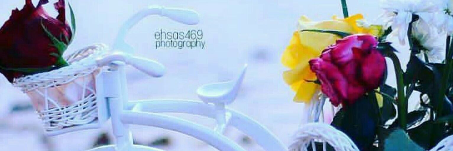 Princes3292's profile banner image