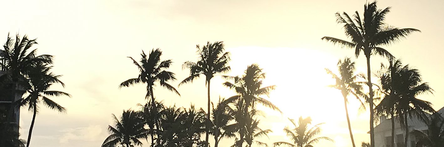 civsthetic's profile banner image