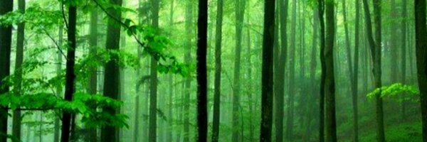 CLAUDIABAHAMON Profile Banner