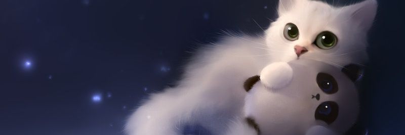 DomiChaotic's profile banner image