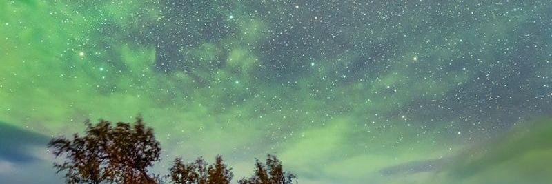 jaim e ᓚᘏᗢ's banner