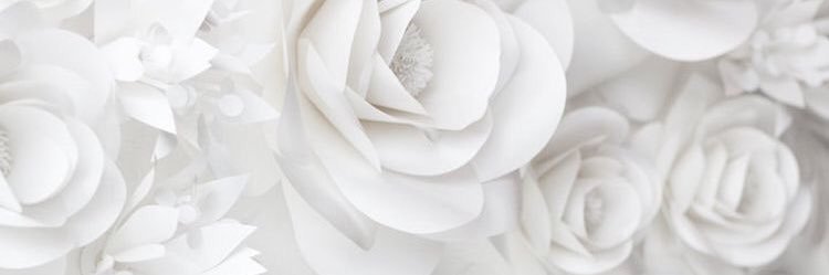 MeguyPascual's profile banner image