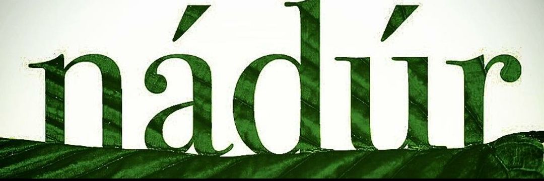NadurCollective's profile banner image