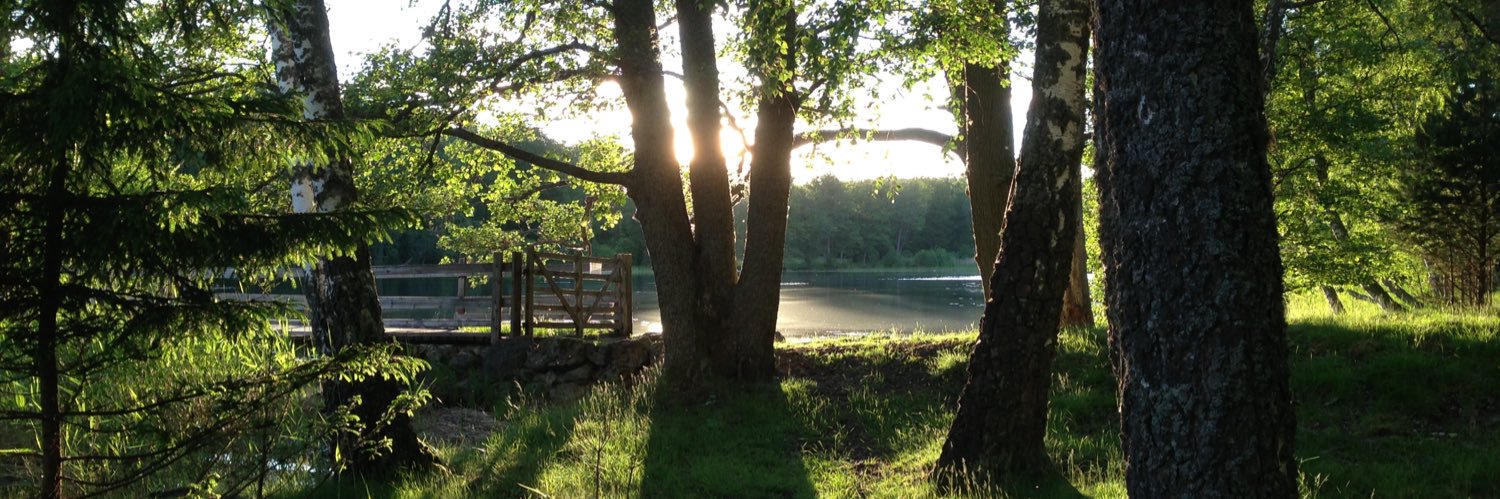 Emanuel Hallklint banner