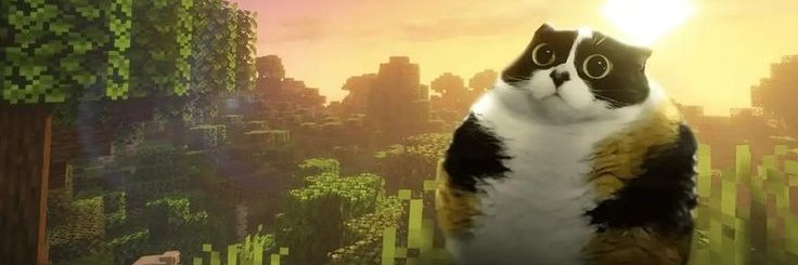 Lunar banner
