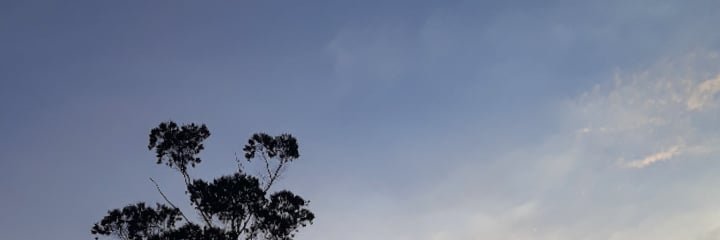 iismarni's profile banner image
