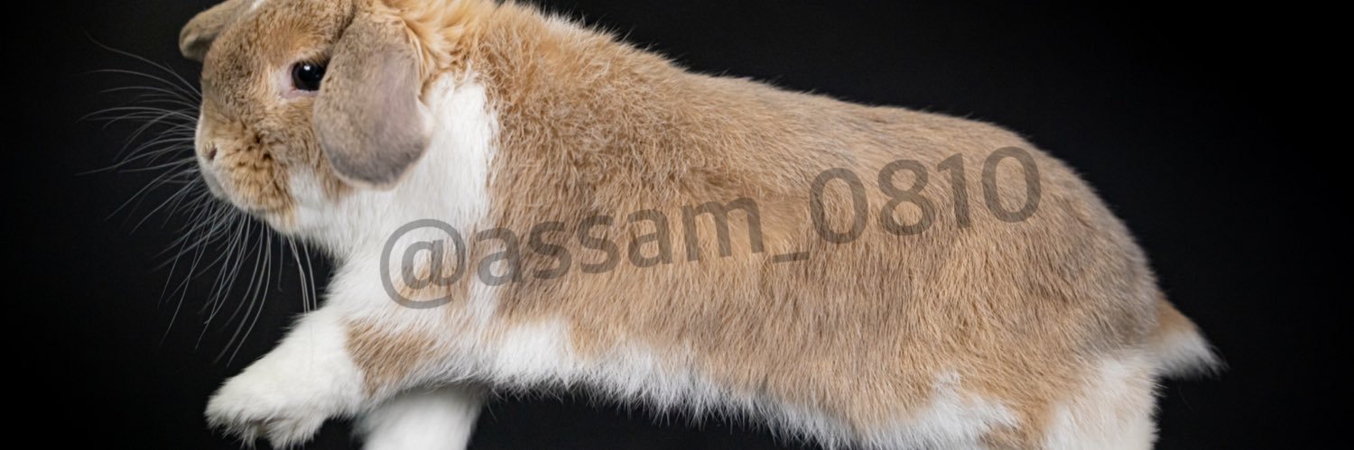 assam_0819's profile banner image
