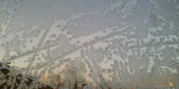 SiberiaWest's profile banner image