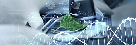 高中生物老师 banner