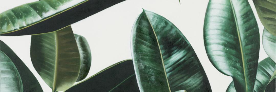 maddythefox's profile banner image