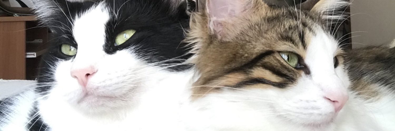 100cl_'s profile banner image